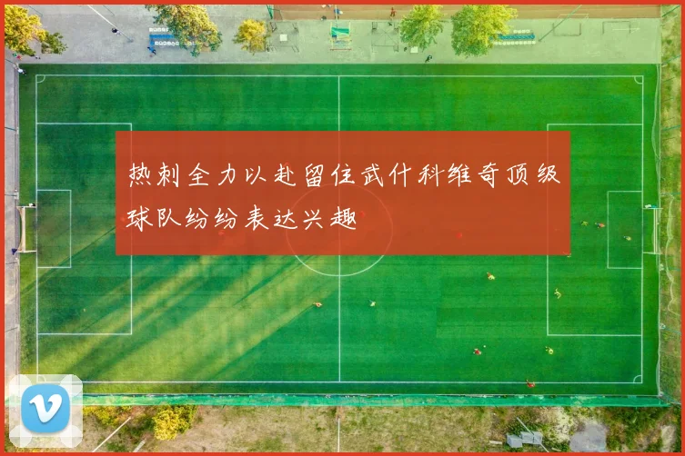 热刺全力以赴留住武什科维奇顶级球队纷纷表达兴趣