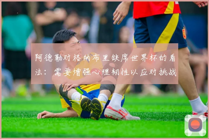 阿德勒对格纳布里缺席世界杯的看法：需要增强心理韧性以应对挑战